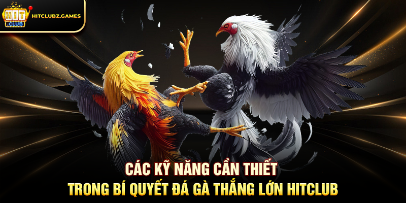 Các kỹ năng cần thiết trong Bí Quyết Đá Gà Thắng Lớn Hitclub