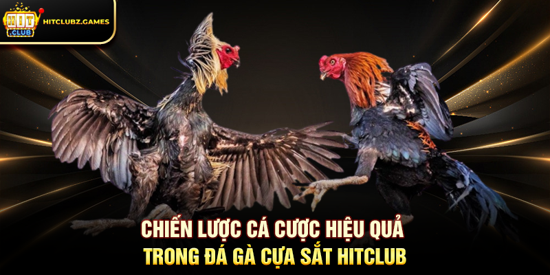 Chiến lược cá cược hiệu quả trong Đá Gà Cựa Sắt Hitclub