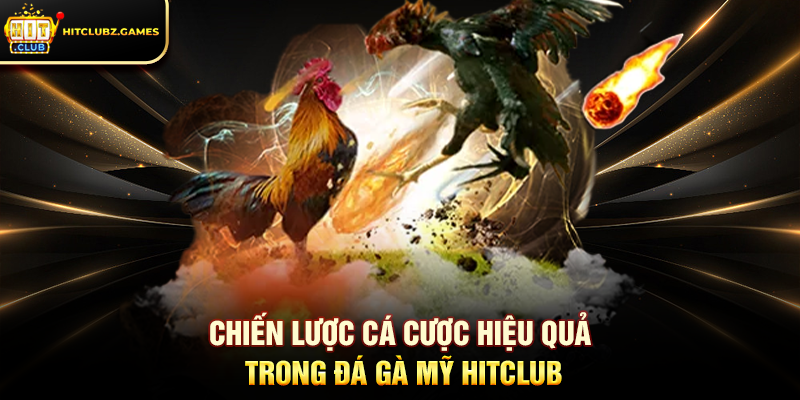 Chiến lược cá cược hiệu quả trong Đá Gà Mỹ Hitclub