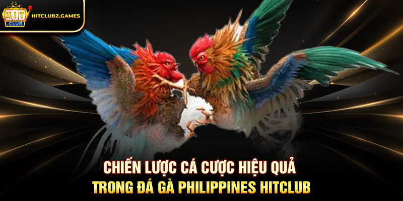 Chiến lược cá cược hiệu quả trong Đá Gà Philippines Hitclub