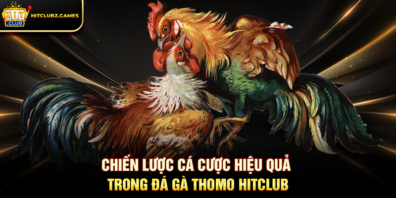 Chiến lược cá cược hiệu quả trong Đá Gà Thomo Hitclub