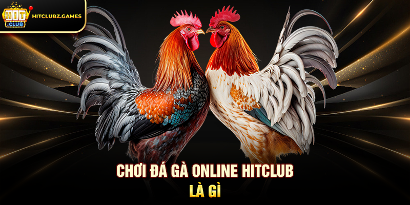 Chơi Đá Gà Online Hitclub là gì