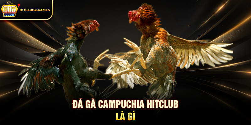 Đá Gà Campuchia Hitclub là gì