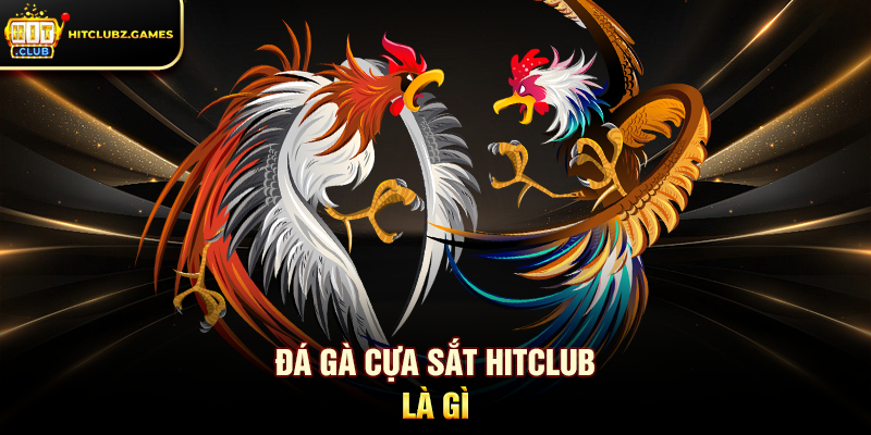 Đá Gà Cựa Sắt Hitclub là gì