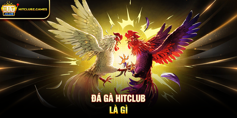 Đá Gà Hitclub là gì