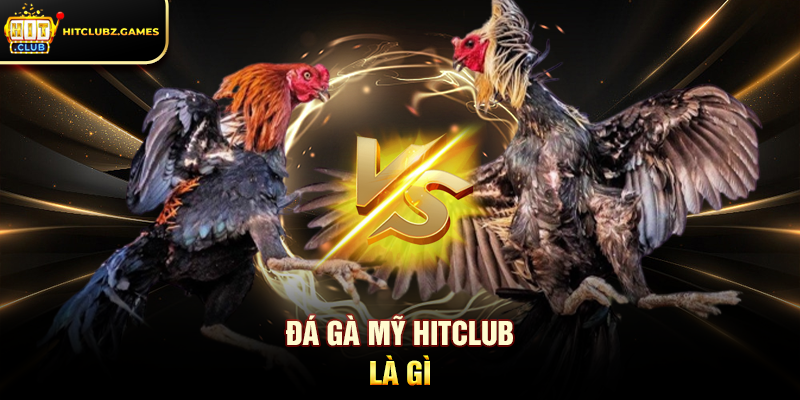 Đá Gà Mỹ Hitclub là gì