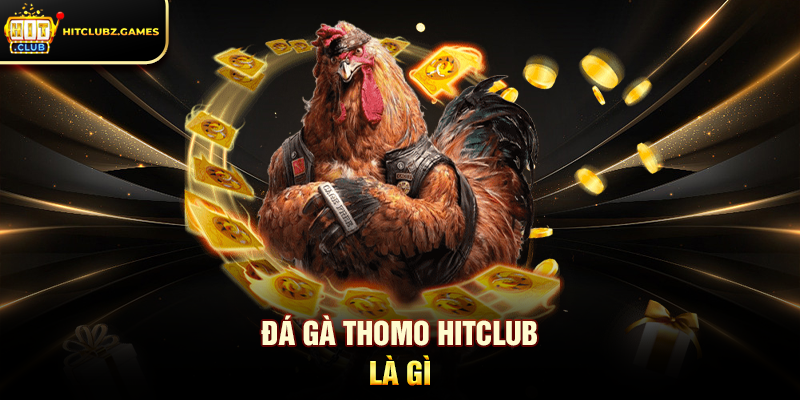 Đá Gà Thomo Hitclub là gì