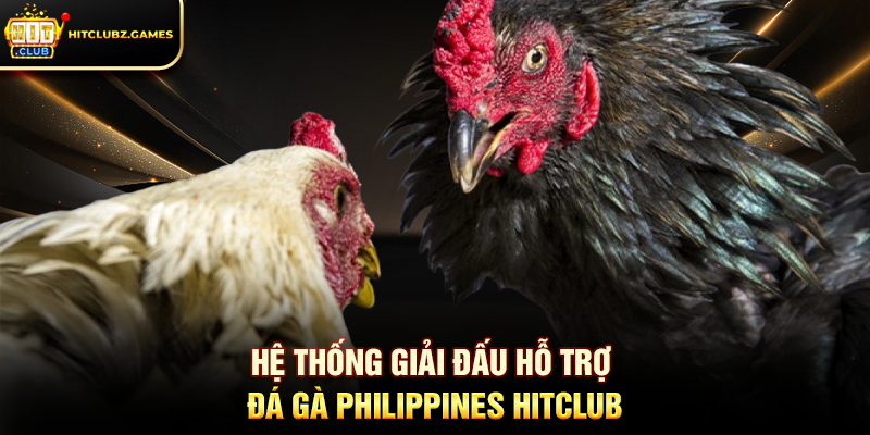 Hệ thống giải đấu hỗ trợ Đá Gà Philippines Hitclub