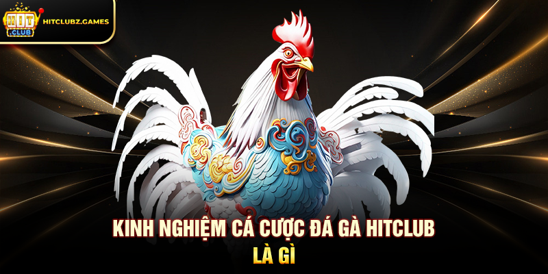 Kinh Nghiệm Cá Cược Đá Gà Hitclub là gì