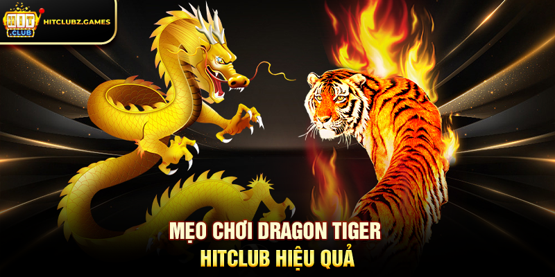 Mẹo Chơi Dragon Tiger Hitclub Hiệu Quả