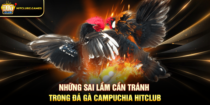 Những sai lầm cần tránh trong Đá Gà Campuchia Hitclub