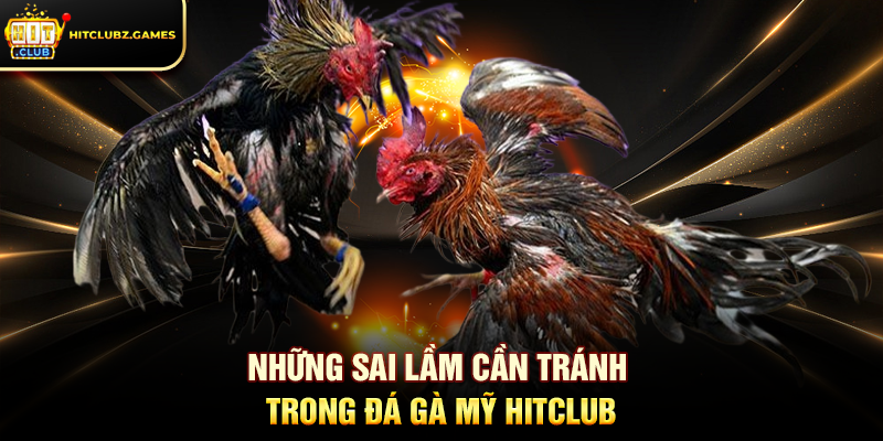 Những sai lầm cần tránh trong Đá Gà Mỹ Hitclub