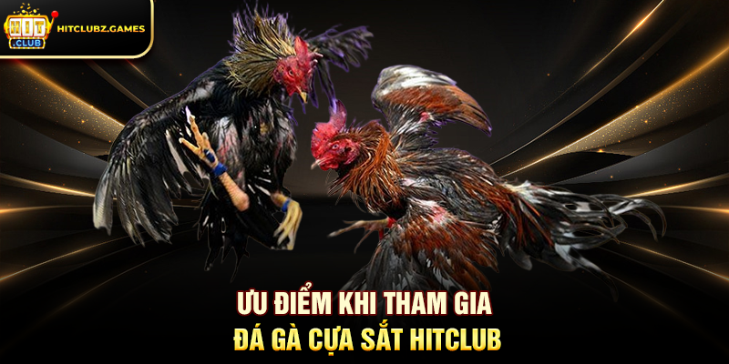 Ưu điểm khi tham gia Đá Gà Cựa Sắt Hitclub