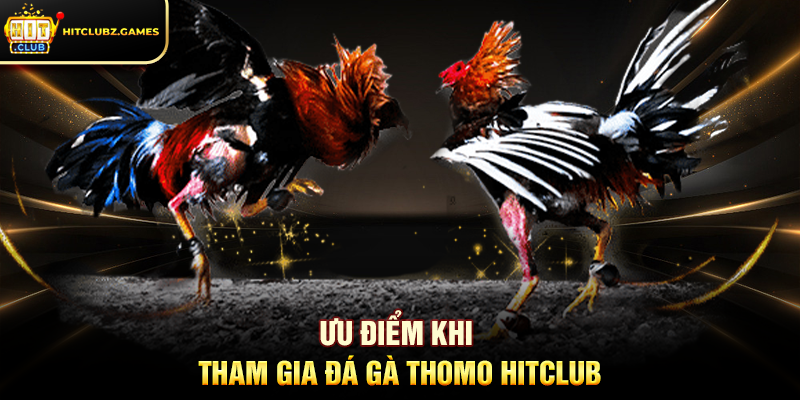 Ưu điểm khi tham gia Đá Gà Thomo Hitclub