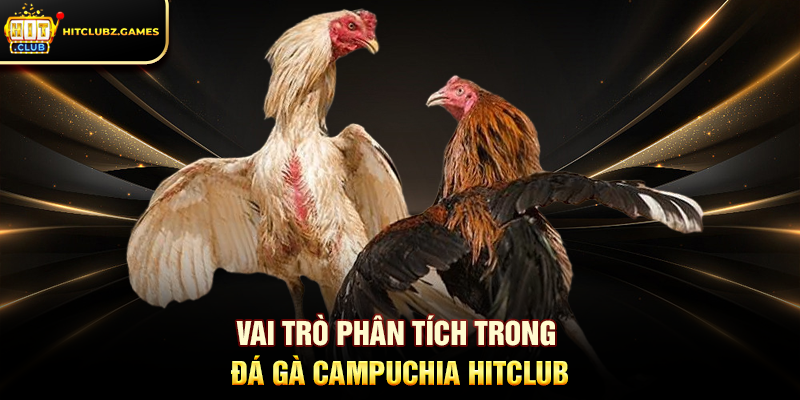 Vai trò phân tích trong Đá Gà Campuchia Hitclub
